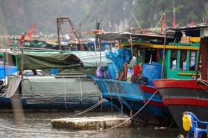 Quảng Ninh di dời gần 10.000 người, đưa 14.000 du khách vào bờ tránh bão số 3