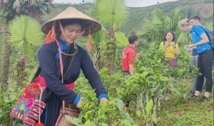 Người phụ nữ Tày từ Bản Liền ‘giữ ruộng làm du lịch’ bỗng trở thành hiện tượng mạng nhờ show truyền hình thực tế