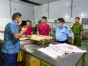 Gia Lai: Phát hiện hàng nghìn con heo đông lạnh không rõ nguồn gốc, xuất xứ