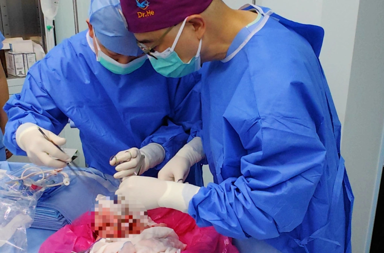 Lần đầu tiên thế giới thử nghiệm cấy ghép phổi lợn cho người lan dau tien cay ghep thanh cong phoi lon vao nguoi chet nao edited 1756169792140