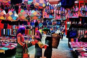 Phát triển kinh tế sau sáp nhập: Phụ nữ xã Tả Phìn đón đầu cơ hội mới