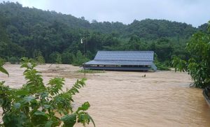 Nhà ngập tới nóc, người dân Nghệ An xuyên đêm chạy lũ