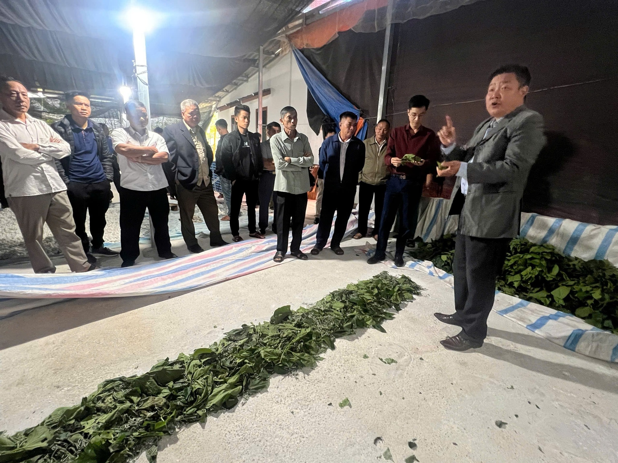 Văn Chấn học tập mô hình trồng dâu nuôi tằm tại Lào Cai: Gợi mở hướng đi mới cho giảm nghèo bền vững