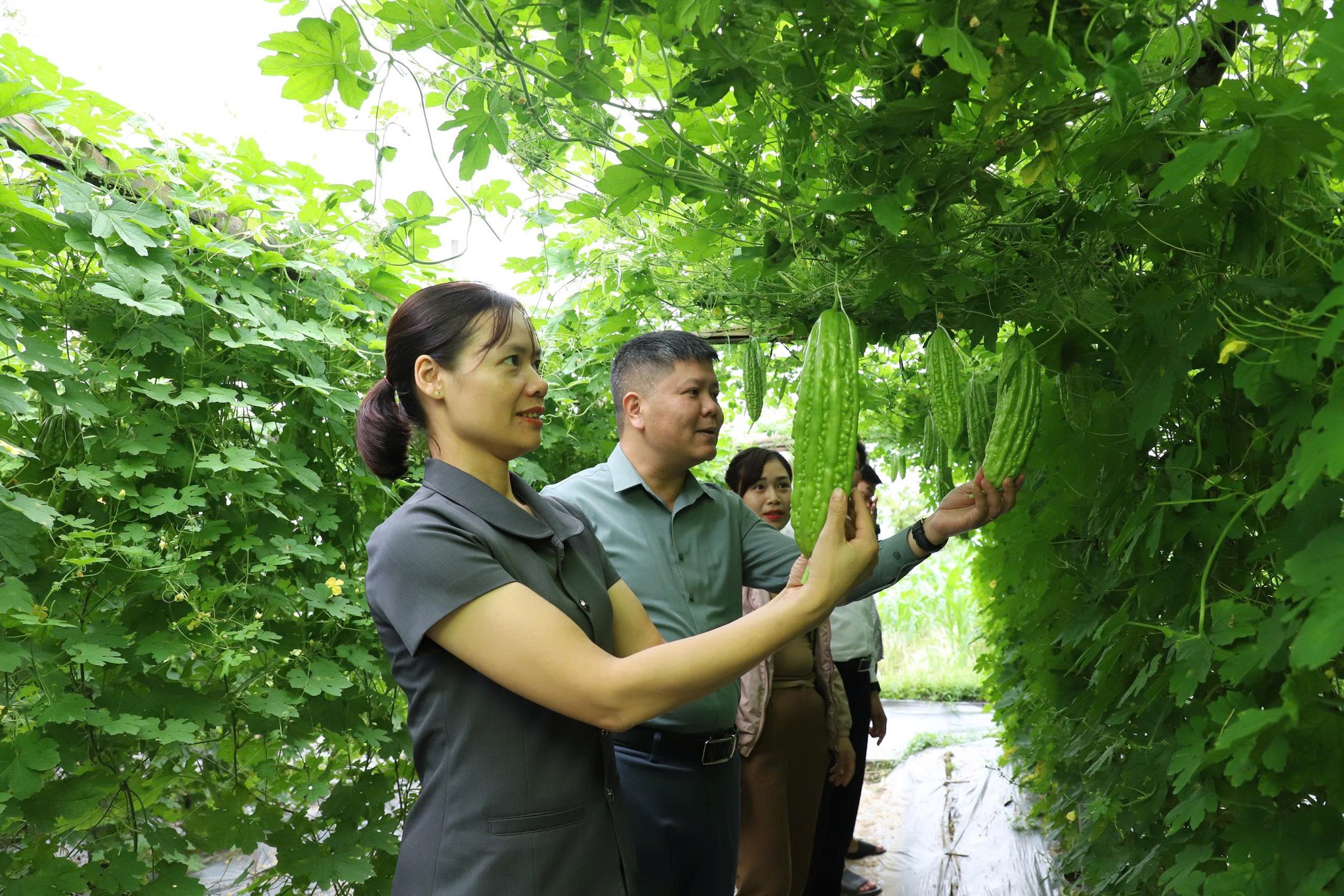Tuổi trẻ Cầu Thia khẳng định bản lĩnh làm kinh tế, xây dựng quê hương giàu đẹp