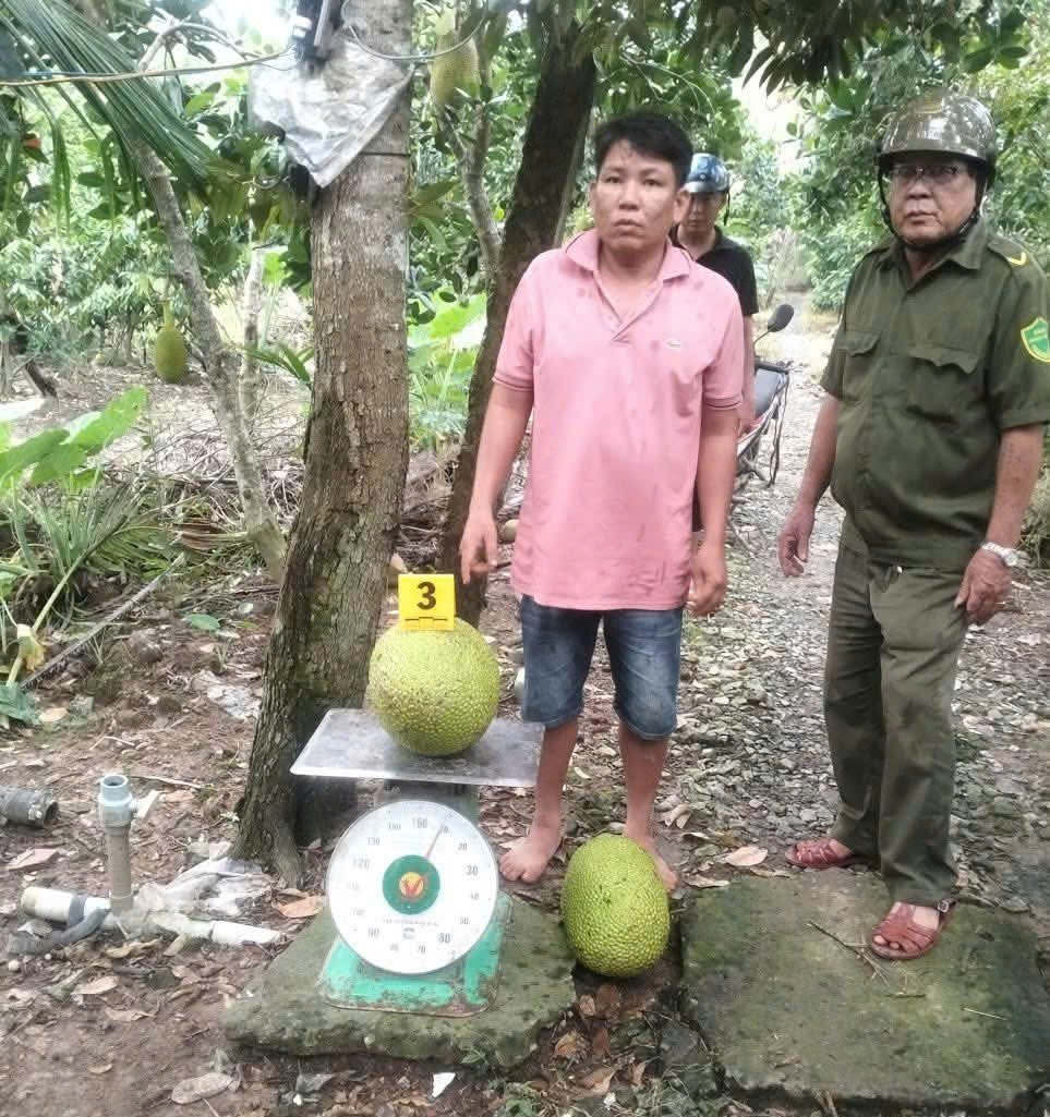 Trộm 2 trái mít trị giá 387.000 đồng, người đàn ông bị khởi tố