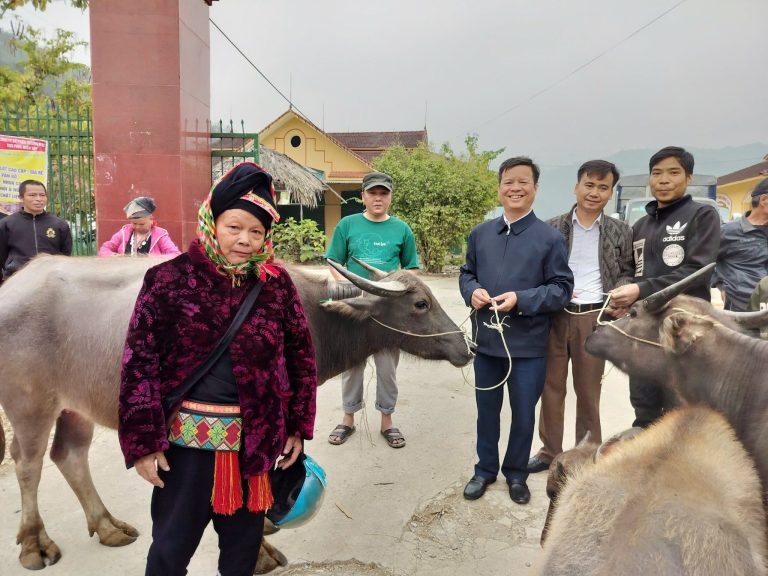 Gia Hội trao sinh kế, gửi hy vọng: 16 hộ nghèo vui mừng nhận trâu hỗ trợ phát triển kinh tế