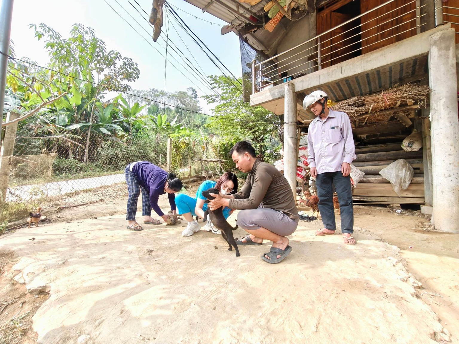 Yên Thành tổ chức khám và tiêm phòng dại miễn phí cho vật nuôi: Chung tay bảo vệ sức khỏe cộng đồng