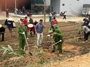 Đất trống nở hoa, Xuân mới thêm sắc tại Đông Cuông